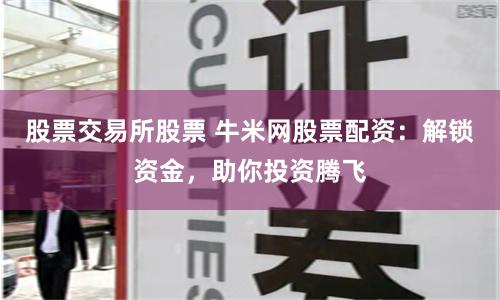 股票交易所股票 牛米网股票配资：解锁资金，助你投资腾飞